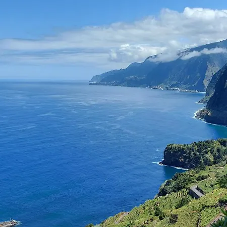 Nature Retreat - Laurel Forest