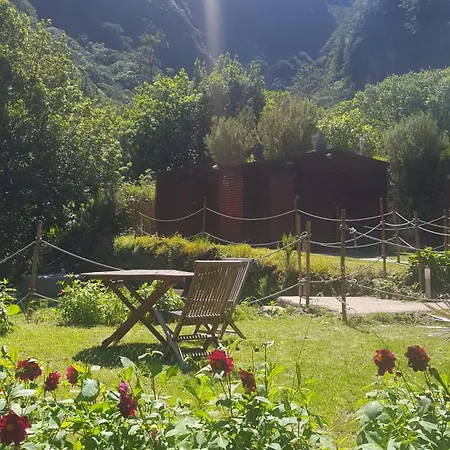 Nature Retreat - Laurel Forest