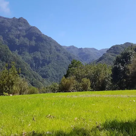 Nature Retreat - Laurel Forest Lüks kamp alanı Seixal (Madeira)