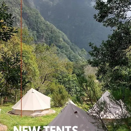 Nature Retreat - Laurel Forest *