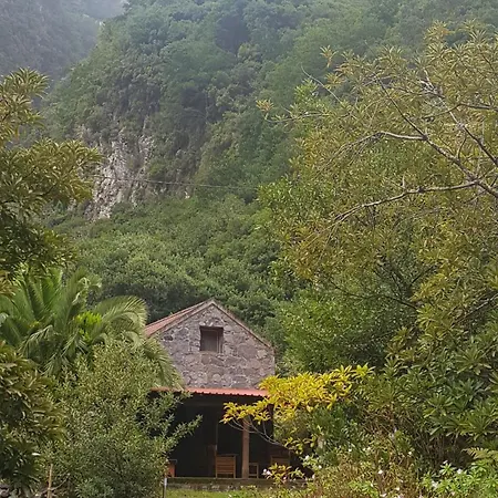 Lüks kamp alanı Nature Retreat - Laurel Forest