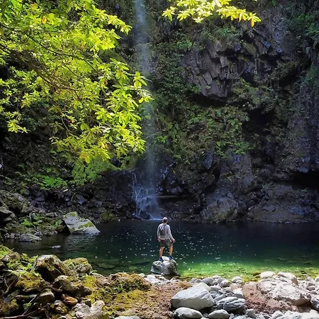 Nature Retreat - Laurel Forest Lüks kamp alanı *