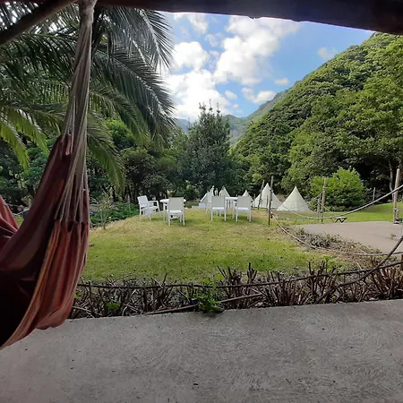 Nature Retreat - Laurel Forest Lüks kamp alanı *