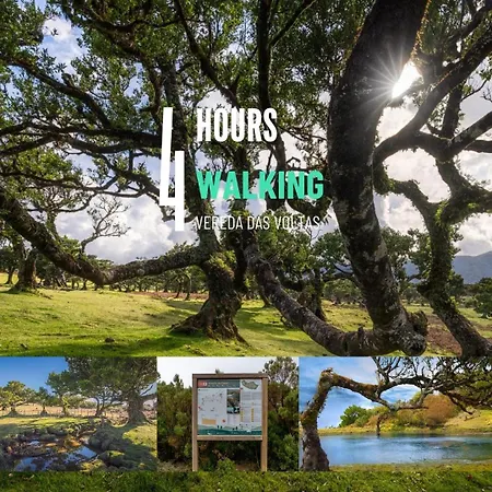 Nature Retreat - Laurel Forest Lüks kamp alanı