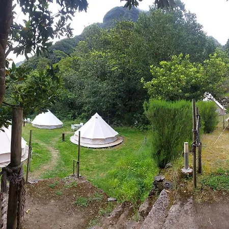 Lüks kamp alanı Nature Retreat - Laurel Forest *