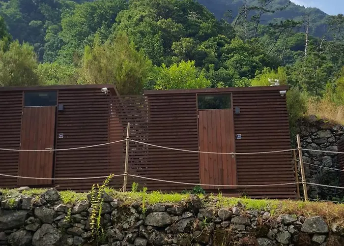 Nature Retreat - Laurel Forest