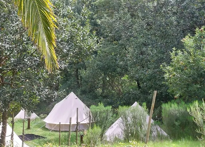 Tente de luxe Nature Retreat - Laurel Forest *