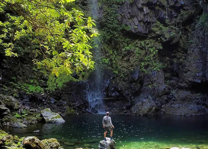 Nature Retreat - Laurel Forest Tente de luxe *