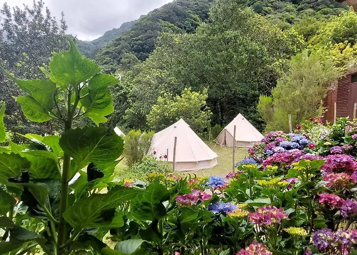 Nature Retreat - Laurel Forest Tente de luxe