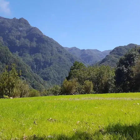 Nature Retreat - Laurel Forest Luxury tent Seixal (Madeira)