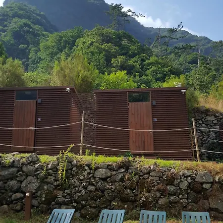 Nature Retreat - Laurel Forest