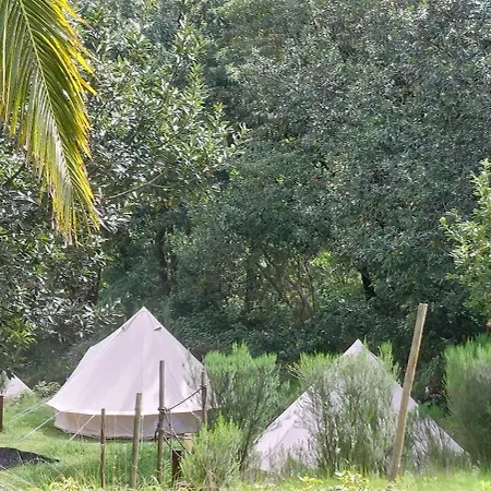 Luxury tent Nature Retreat - Laurel Forest *