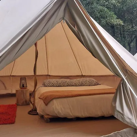 Luxury tent Nature Retreat - Laurel Forest