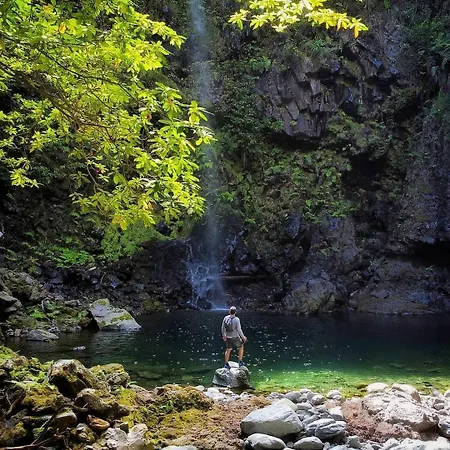 Nature Retreat - Laurel Forest خيمة فخمة *