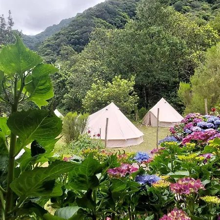 Nature Retreat - Laurel Forest Luxury tent