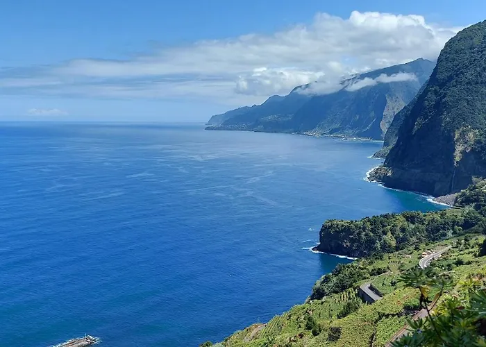 Nature Retreat - Laurel Forest