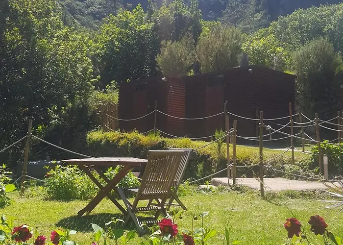 Nature Retreat - Laurel Forest