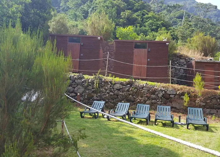 Nature Retreat - Laurel Forest