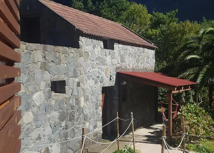 Nature Retreat - Laurel Forest Seixal