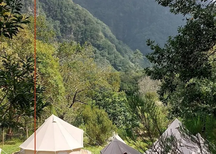 Nature Retreat - Laurel Forest *