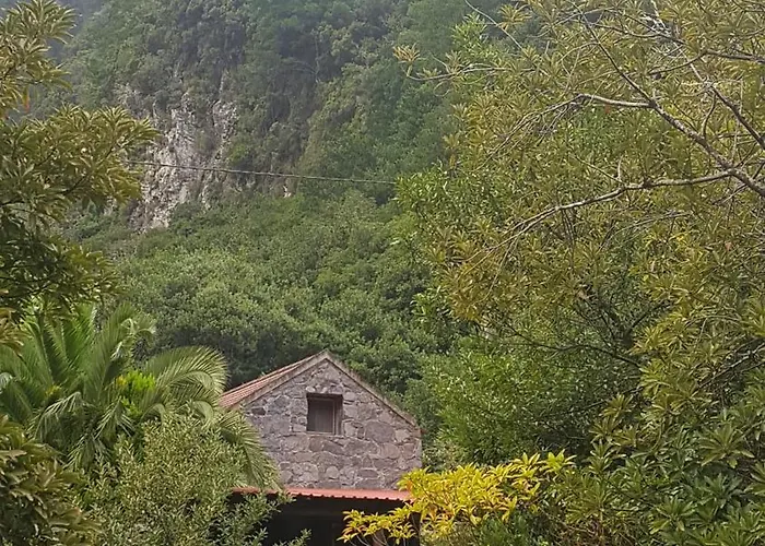 Luxussátor Nature Retreat - Laurel Forest