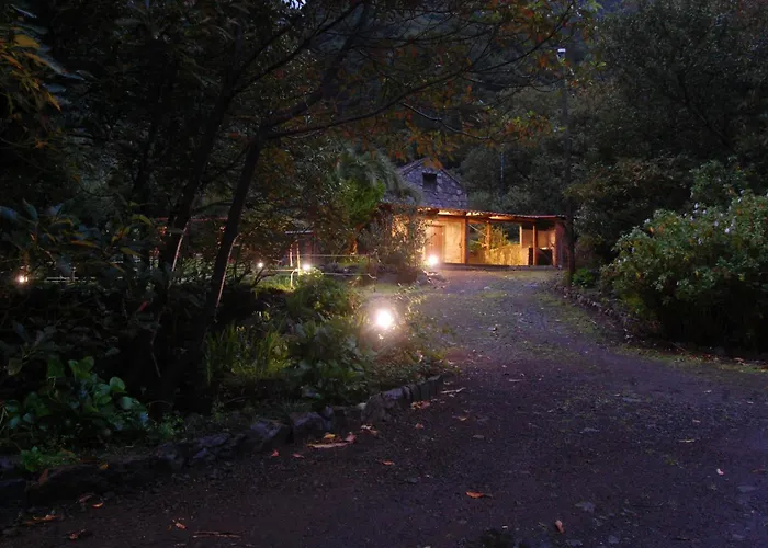 Nature Retreat - Laurel Forest Seixal