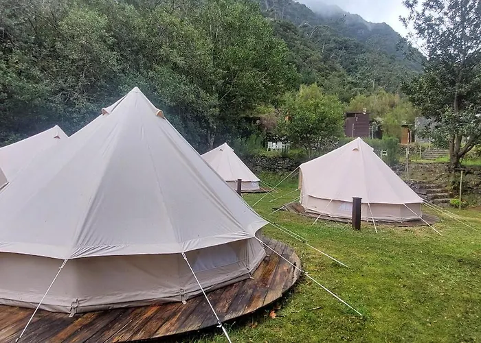 Nature Retreat - Laurel Forest