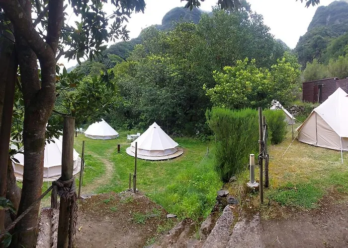 Luxussátor Nature Retreat - Laurel Forest *